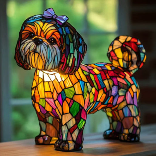 Čarobnost princese